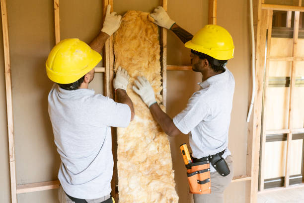 Best Blown-In Insulation  in Thomson, GA